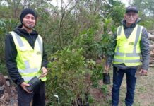 Parque Belinzoni de Araranguá recebe plantio de novas mudas