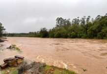Chuva intensa volta a atingir o Extremo Sul de Santa Catarina
